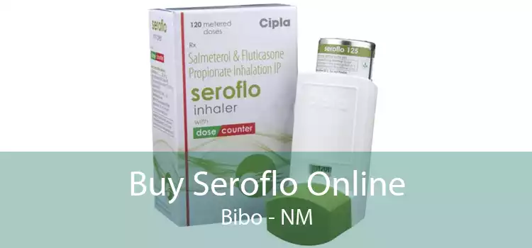 Buy Seroflo Online Bibo - NM