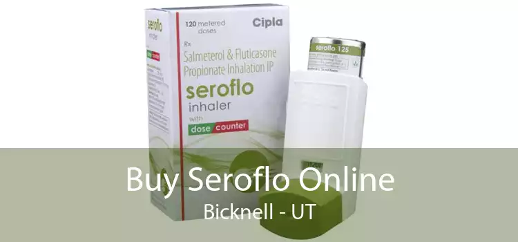 Buy Seroflo Online Bicknell - UT