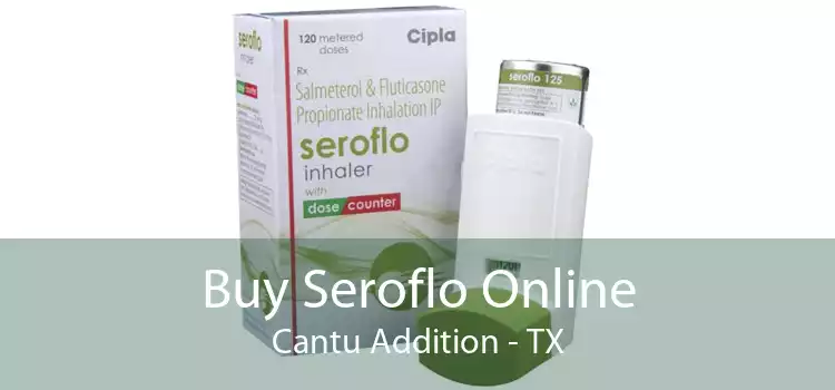 Buy Seroflo Online Cantu Addition - TX