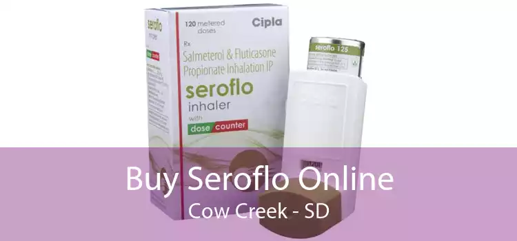Buy Seroflo Online Cow Creek - SD